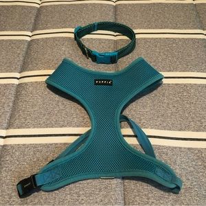 Light Blue Dog Collar & Harness Size Medium